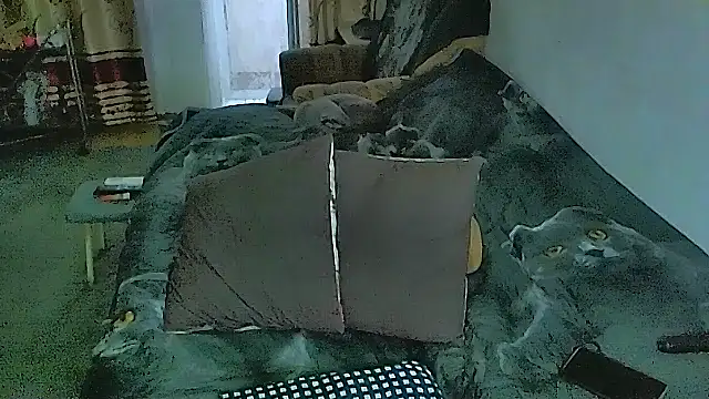 sex2's Live XXX Chat