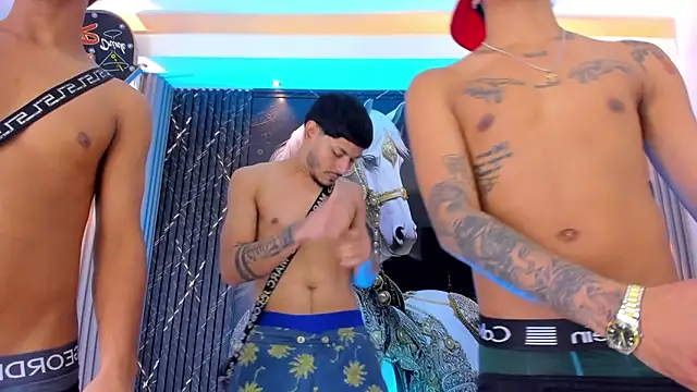 Webkamerová show the_knights_of_the_night_