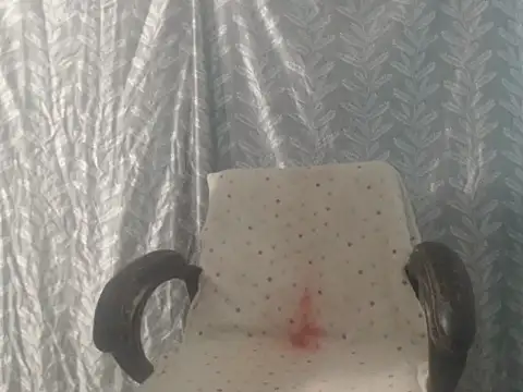 cute-priy 웹캠 쇼