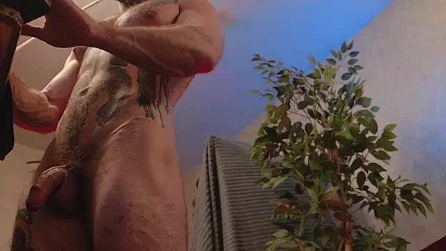 Show de bulatov_xx na webcam