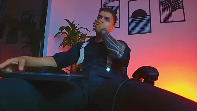 ALPHA_DOMINUS_n Webbikameraesitys