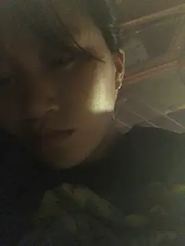 han-camx 网络视讯表演