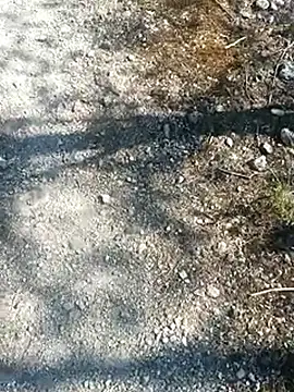 Webkamerová show maleesa