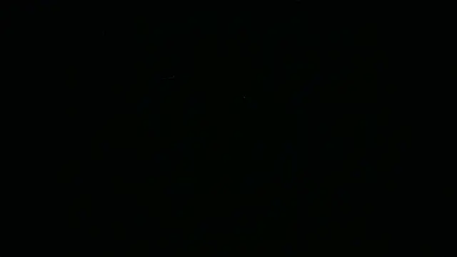 BustedCall 现场XXX聊天