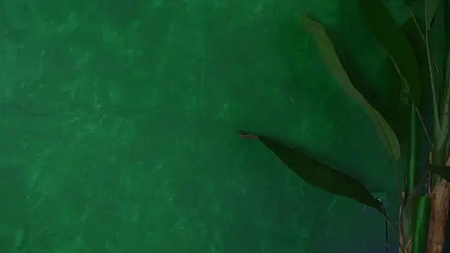 FoxieJullia Live XXX-chat