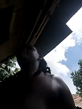 Show webcam de holygrail001