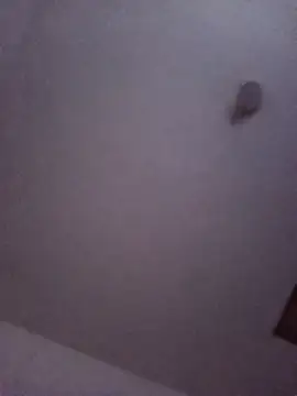 celeste_kiss_ Webcam-Show