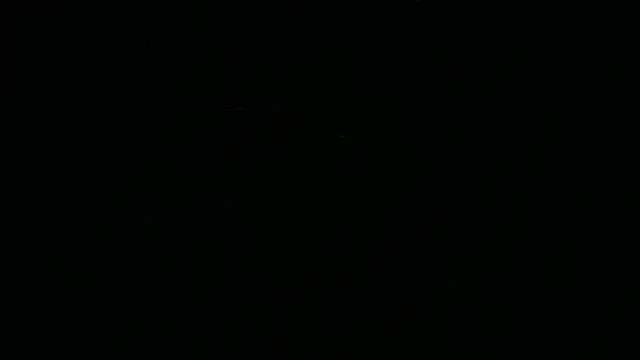 BustedCalln Webbikameraesitys