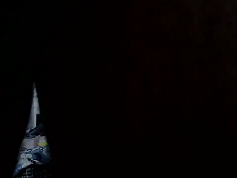 VantageClassicn Webbikameraesitys