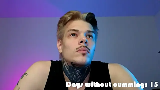 DENIS_HEREn Webbikameraesitys