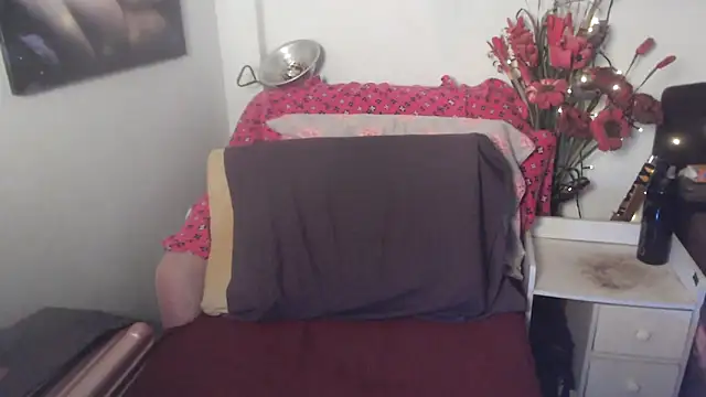 transagera 라이브 XXX 채팅