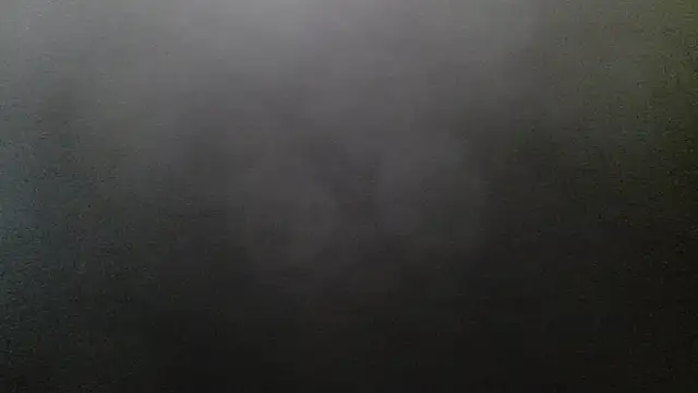 Show webcam de BigDickWo0z