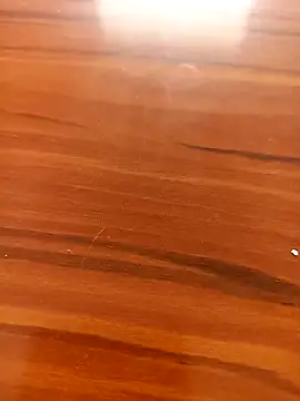 Pertunjukan Kamera Web Newcople