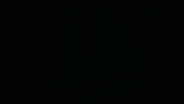 عرض كام BustedCall