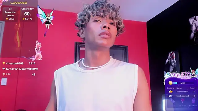 Henrikvermillion's Webcam Show