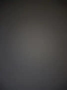 Show Webcam de TheDime