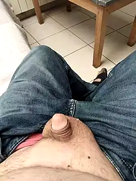 Show webcam de Corref