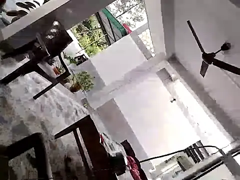 Wild_Vassu 웹캠 쇼