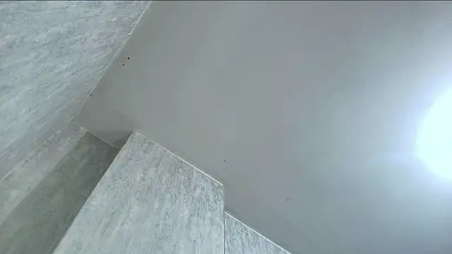 ValerySilva 라이브 XXX 채팅