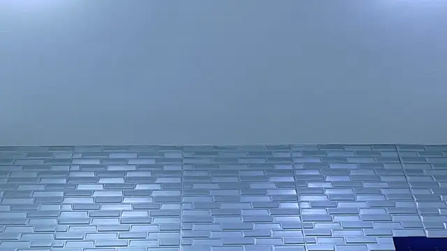 Chat +18 de SeraphynLuxora ao vivo