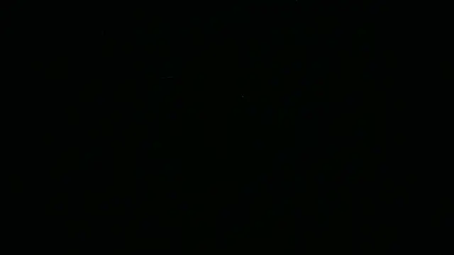 عرض كام BustedCall