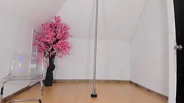 Show modela NallyMax1 na web-kameri