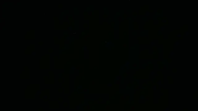 Webkamerová show BustedCall