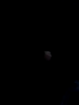 dolphiinn Pertunjukan Webcam