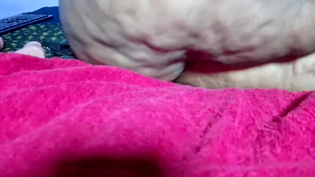 wilmaassylum Chat XXX in diretta