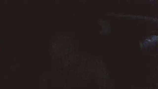 Chat XXX en directo de jaxx12369