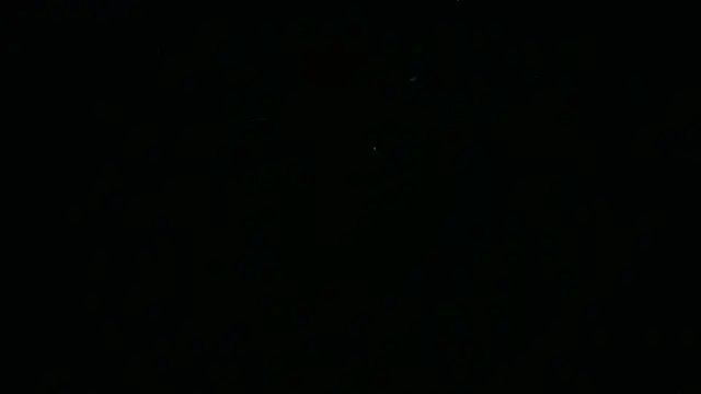 Show de webcam de BustedCall