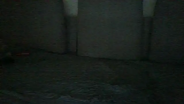 chichoplus Pertunjukan Webcam