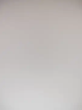 TheDime – Live XXX-chat