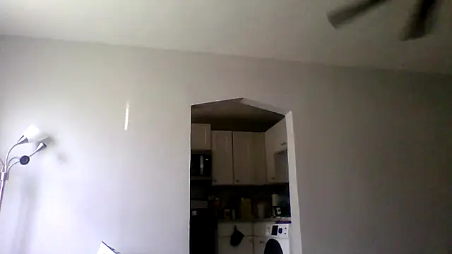 dezzidavill 现场XXX聊天