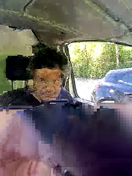 Show Webcam de twitshe