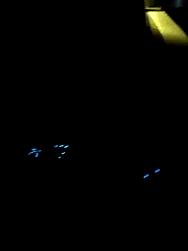 KingCobraClassy Adlı Modelin Web Kamerası Şovu