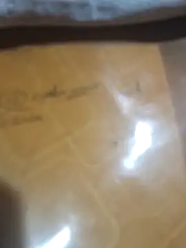 UnhopedDear élő XXX-chatje