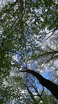 AngelicaPeligrosaのライブXXXチャット