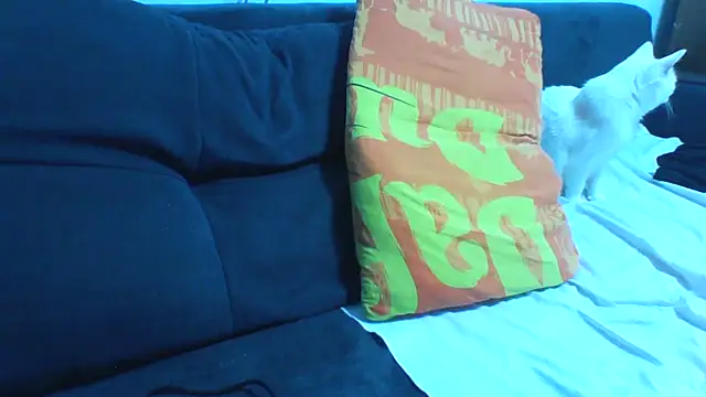 KaelNox's Webcam Show