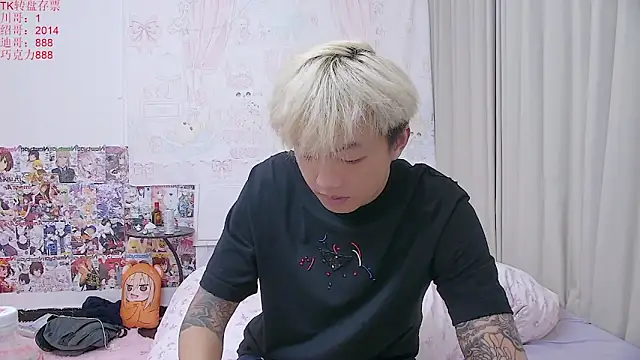 Chocolates-001 Show Webcam