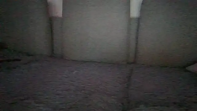 chichoplusn Webbikameraesitys