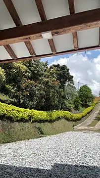 ArilwのライブXXXチャット