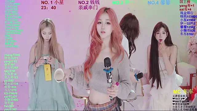 ZZ00033Sn Webbikameraesitys