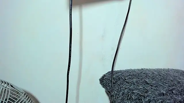 ZeusBrant 网络视讯表演