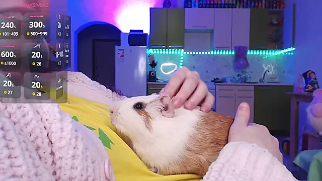 ur_kitty__: онлайн-секс-чат