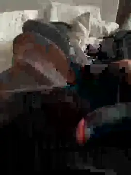 giumy91 webkamerás műsora