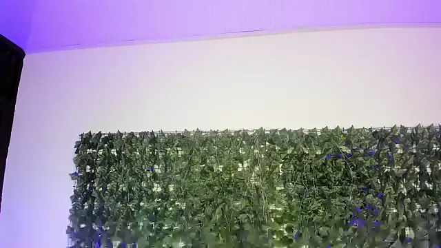 AbbyTaylorr Live XXX-chat