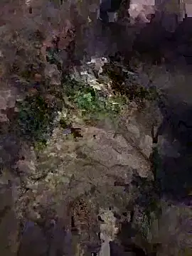 Živý XXX chat hamyy88