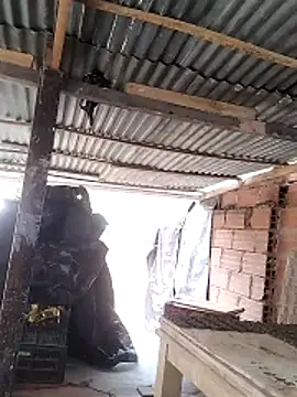 hoteder 网络视讯表演