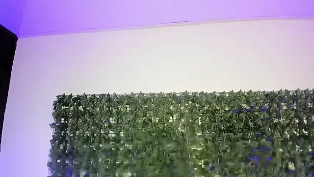 Chat XXX ao vivo de AbbyTaylorr